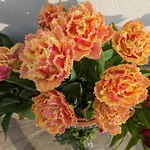 Rosegarth 4*