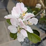 Rosegarth Bed and Breakfast