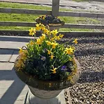 Rosegarth Bed and Breakfast Marton near Pickering