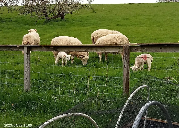 Bed & Breakfast Rosegarth 4*