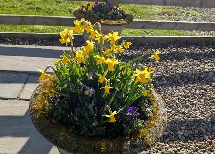 Rosegarth Bed & Breakfast Marton (North Yorkshire)