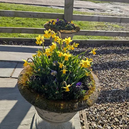 Rosegarth Bed & Breakfast Marton (North Yorkshire)